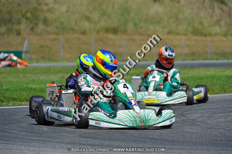DSC_ (1398).jpg